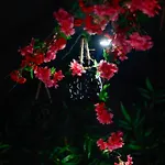 게스트하우스 La Demeure De Poulpican Sakura Jacuzzi Charme Romantique Terrasse Privee 300m Et Restaurants Valmer - Golfe Saint Tropez